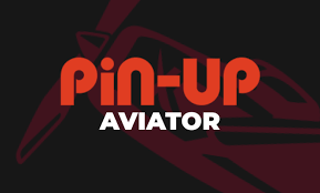 Pilot Aircraft Betting Game: Just How To Play, Win And Register